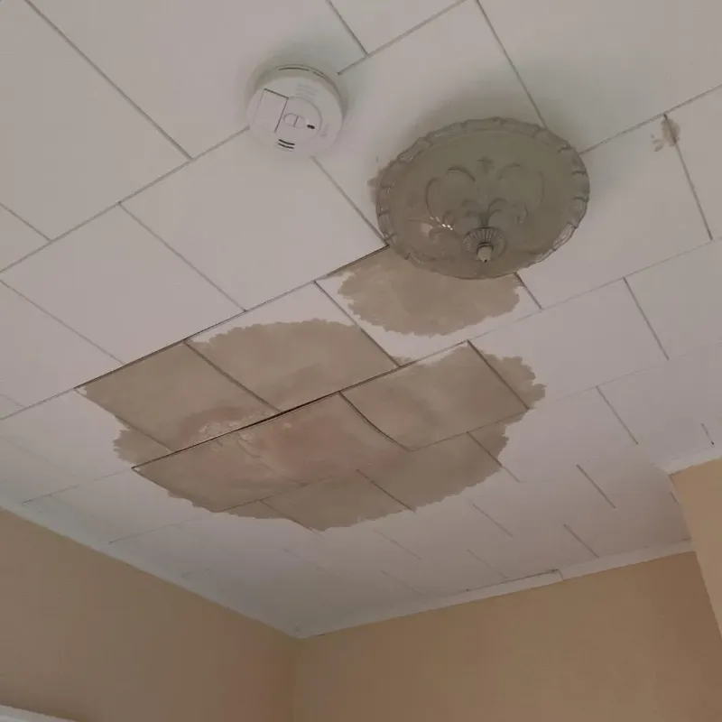 Ceiling Water Damage Repair in East Norwich, NY
