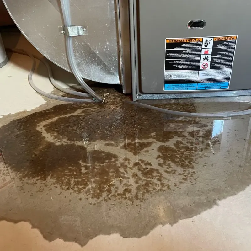 Pipe Burst and Leak Restoration in East Norwich, NY